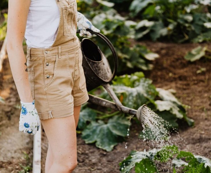 Image of a woman tending to a vegetable garden, watering the plants with care and dedication.