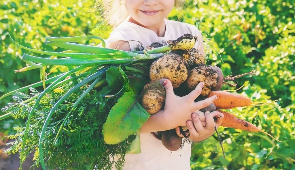 A joyful little girl holding several freshly harvested vegetables, with traces of dirt still visible on them, showcasing her enthusiasm for gardening and nature.